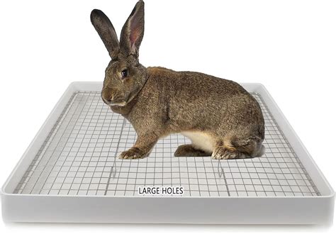 metal grate for litter box|rabbit litter box.